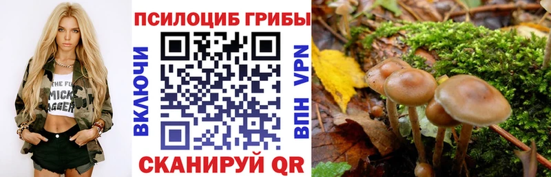 Псилоцибиновые грибы MAGIC MUSHROOMS  Томари 